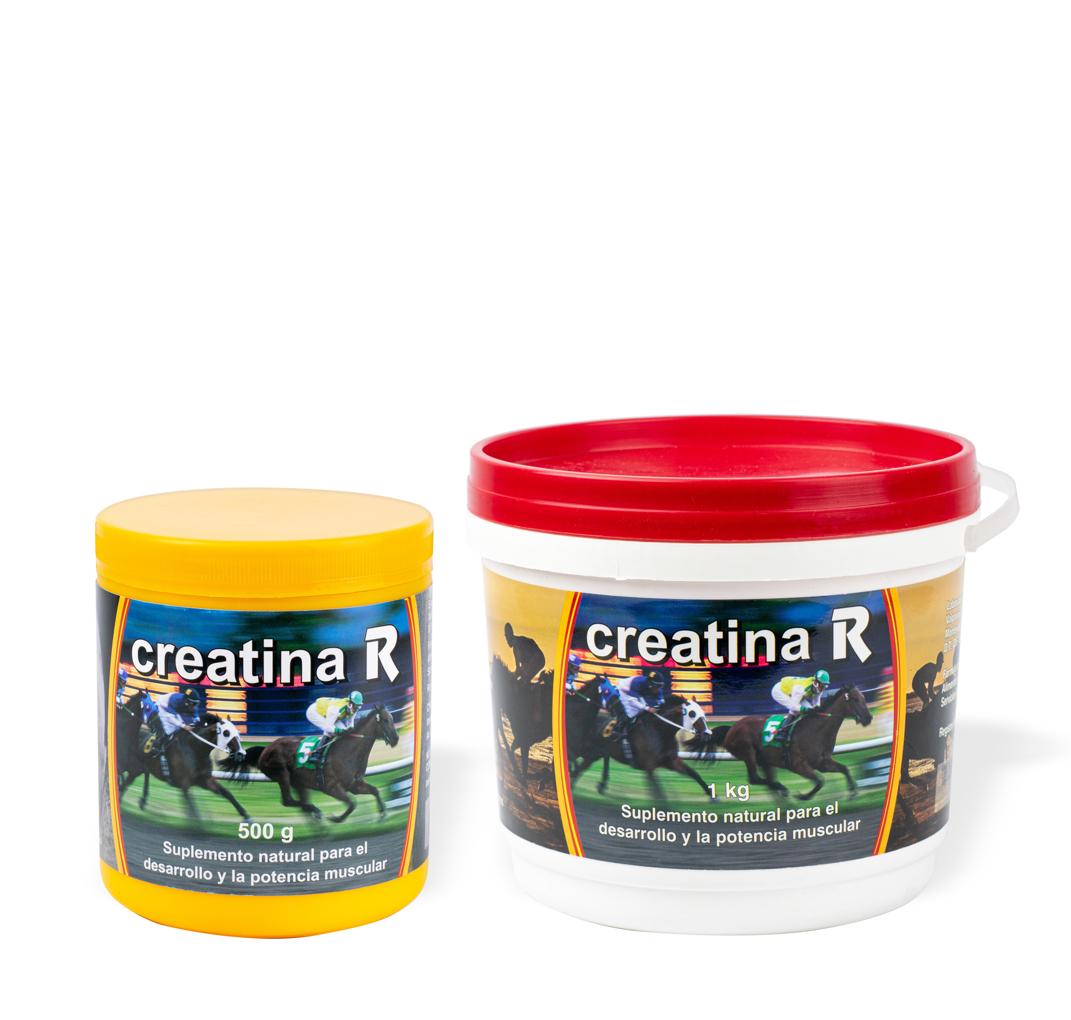 Creatina R (500+1000)