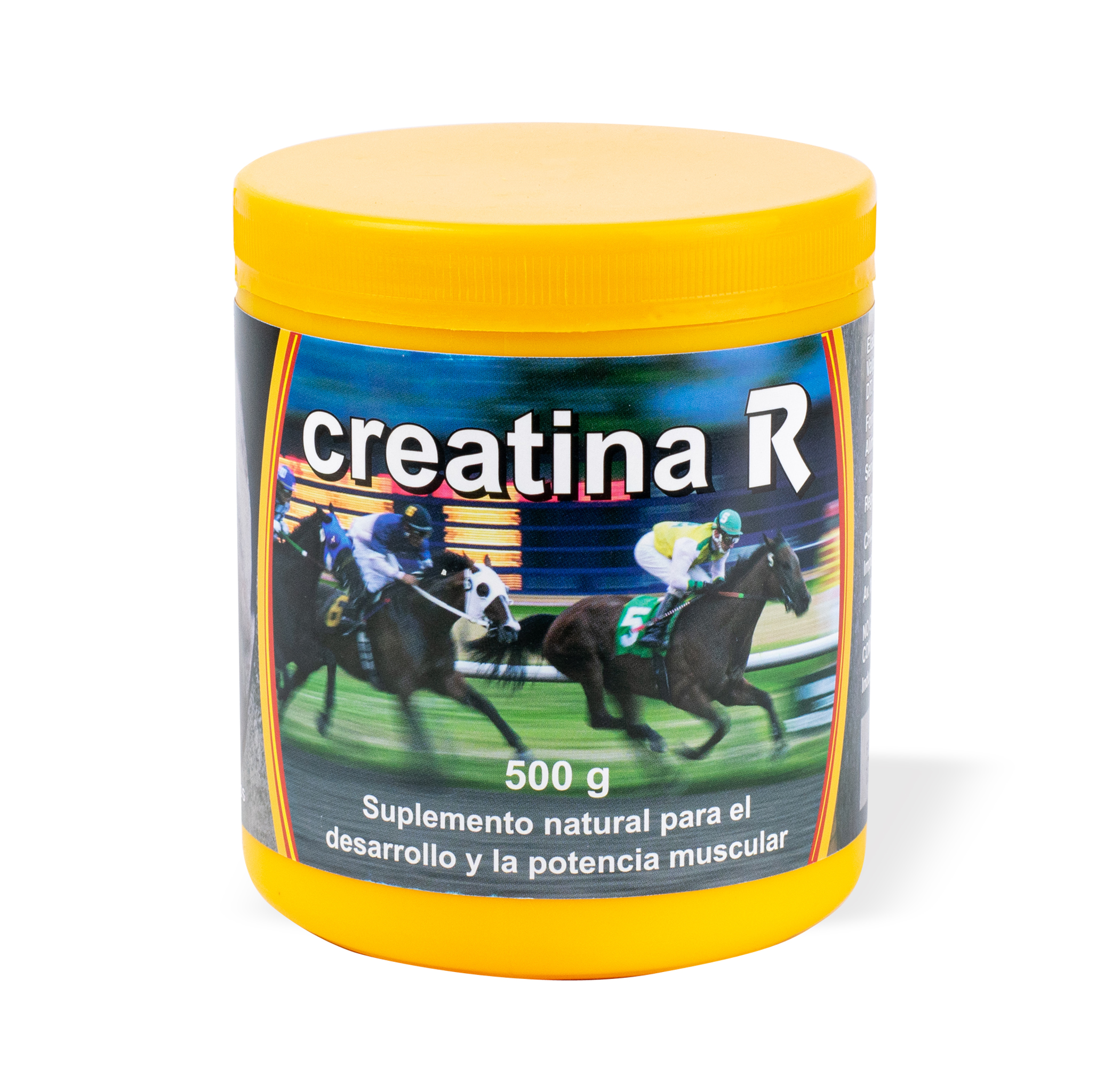 Creatina R x 500